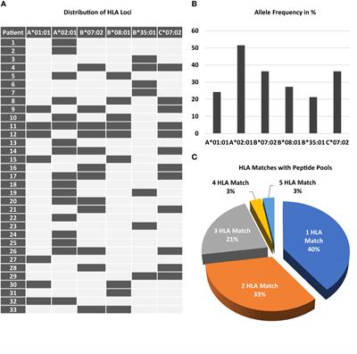 Prevention of CMV/EBV reactivation by double-specific T cells in patients after allogeneic stem cell transplantation: results from the randomized phase I/IIa MULTIVIR-01 study